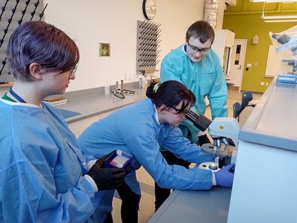 jsc2024e066528 (2/8/2024) --- The Pittsfield team examines onion root tips halted mid-mitosis in preparation for their experiment, The Effects of Microgravity on Mitosis in Onion Root Tip Cells, part of the Nanoracks-National Center for Earth and Space Science Education-Surveyor-Student Spaceflight Experiments Program Mission 18 to ISS (Nanoracks-NCESSE-Surveyor-SSEP).