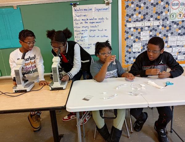 jsc2024e066529 (10/7/2024) --- The Pepper Elementary student team utilizes microscopy to investigate Citrullus lanatus (watermelon) seeds while preparing sample experiments to continue research.Their experiment, How Watermelon Germinates in Space Versus on Earth, is part of the Nanoracks-National Center for Earth and Space Science Education-Surveyor-Student Spaceflight Experiments Program Mission 18 to ISS (Nanoracks-NCESSE-Surveyor-SSEP).