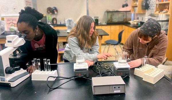 sc2024e066533 (10/4/2024) --- View of Red Hook High School students Lotta Pflaum, Emmy Nelson- Madore and Ava Hubner. Their experiment, The Effect of Microgravity on the Hatching Rate of Rotifers, is part of the Nanoracks-National Center for Earth and Space Science Education-Surveyor-Student Spaceflight Experiments Program Mission 18 to ISS (Nanoracks-NCESSE-Surveyor-SSEP).