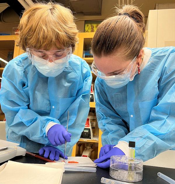 jsc2024e067096 (15/15/2024) --- Maya Burns and Faith Dunn test a mold to create an agar cylinder for assessment of fungal polyurethane degradation. Their experiment, Effect of Microgravity on the Enzymatic Degradation of Polyurethane by Penicillium chrysogenum, is part of the Nanoracks-National Center for Earth and Space Science Education-Surveyor-Student Spaceflight Experiments Program Mission 18 to ISS (Nanoracks-NCESSE-Surveyor-SSEP).
