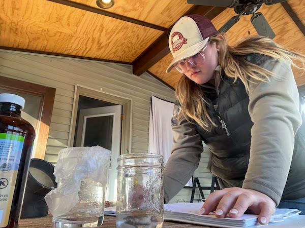 jsc2024e067107 (10/15/2024) --- Jordan Brown is testing different solution amounts while studying the growth and development of brine shrimp. (image courtesy of Grantsburg SD)