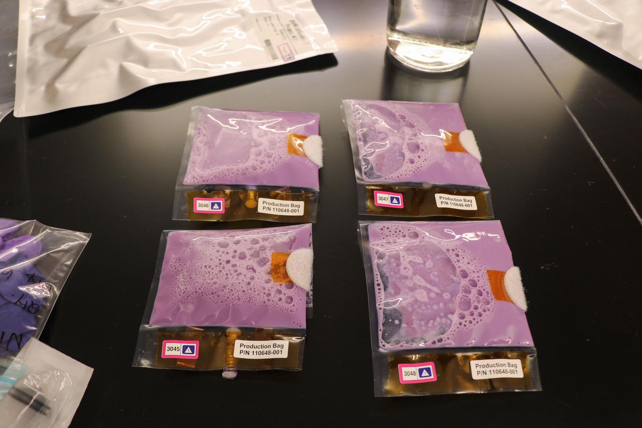 Four BioNutrients-3 yogurt bags, following completion of hydration but before incubation. Note the purple color indicating that the samples have not yet been incubated. o Photo Credit: Kevin Sims (NASA Ames)
