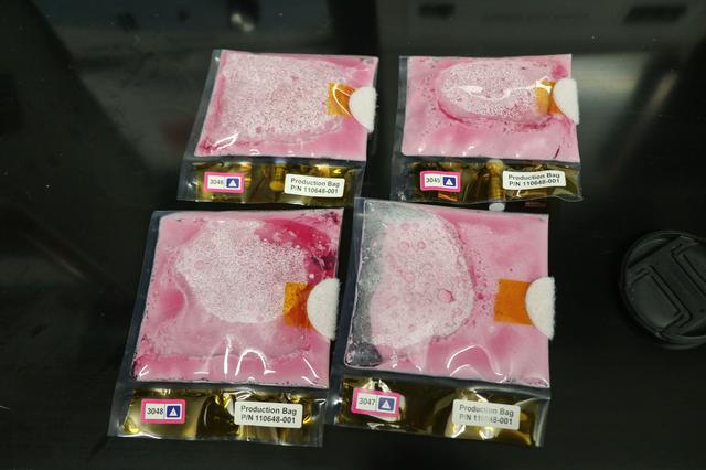 NASA image: jsc2025e007245