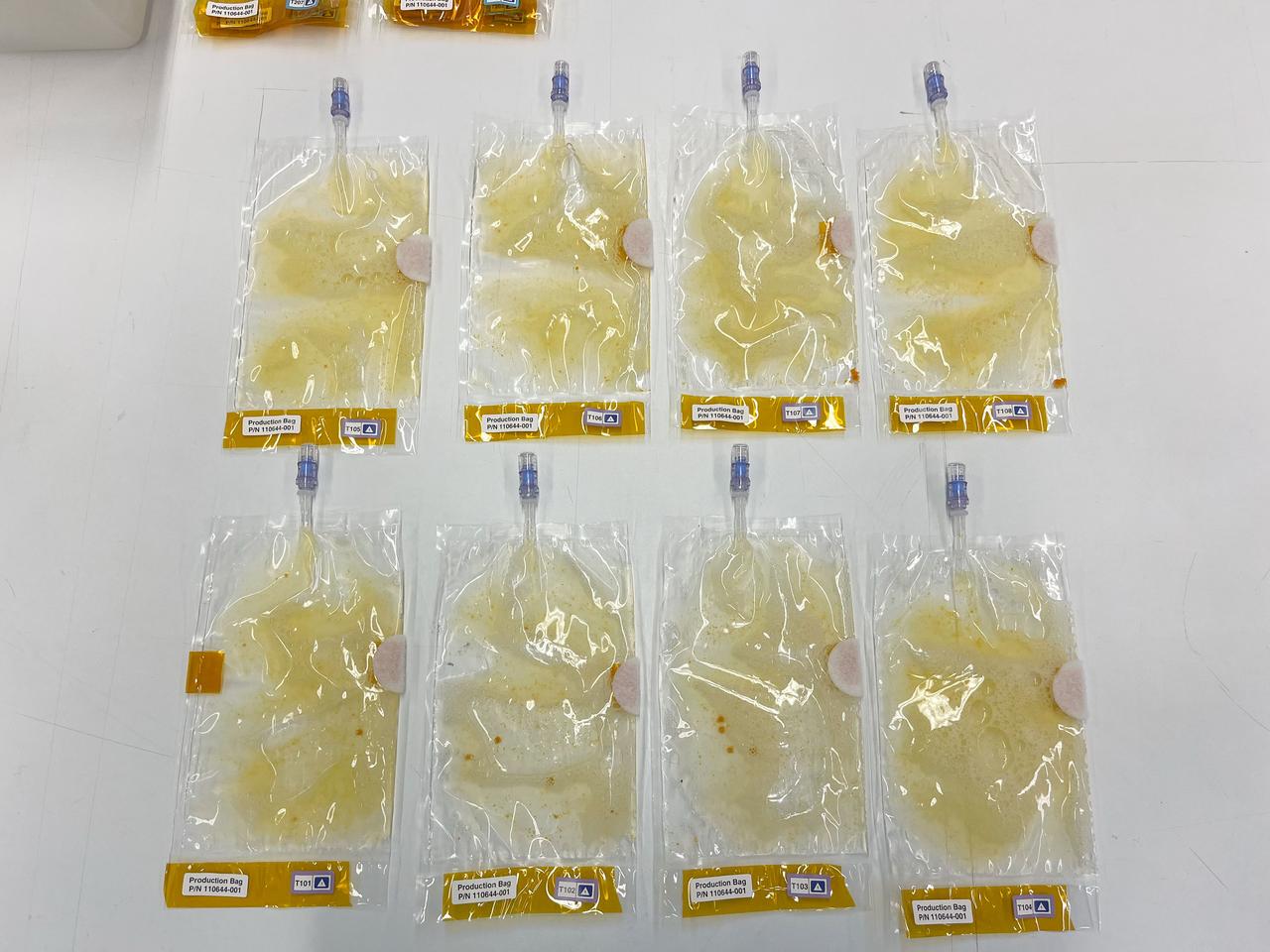 Eight BioNutrients-3 production bags containing yeast (S. cerevisiae Y55 strain 1034) photographed against a white background during the BioNutrients-3 Experiment Verification Test. Note the orange yeast pellets which are visible in some of the bags. Photo Credit: NASA Ames