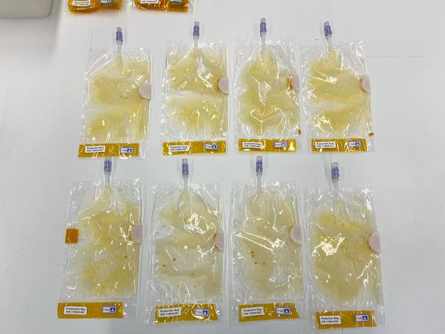 NASA image: jsc2025e007247