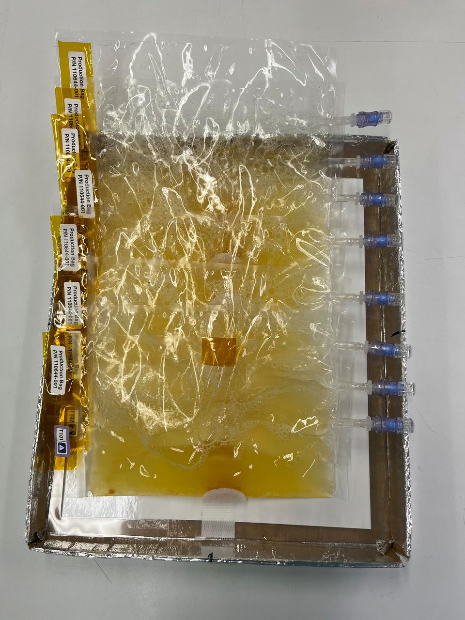 Eight BioNutrients-3 production bags containing yeast (S. cerevisiae Y55 strain 1034) attached to the SABL Tray mockup during the BioNutrients-3 Experiment Verification Test Photo Credit: NASA Ames