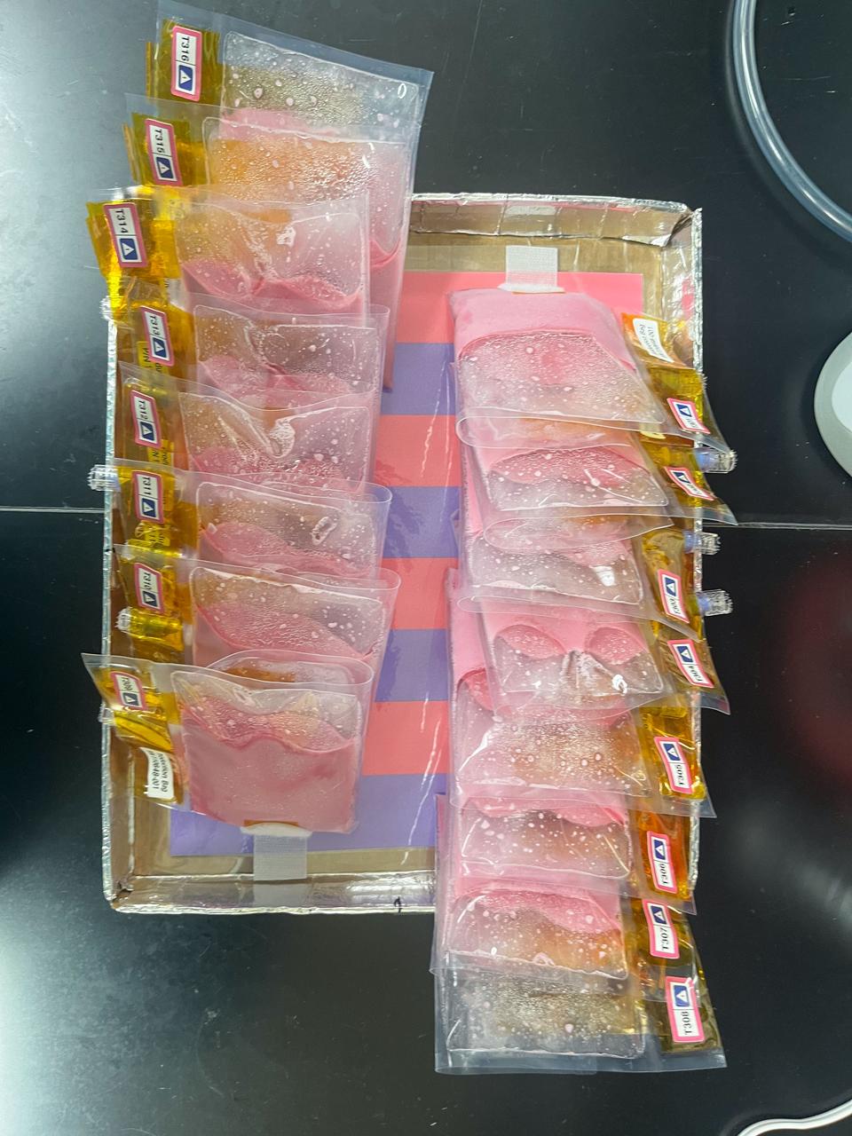 Sixteen BioNutrients-3 yogurt bags attached to the SABL Tray mockup during the BioNutrients-3 Experiment Verification Test. Below the bags, the purple and pink SABL interface board, which is used for pH comparison, is visible. The pink color of the bags indicates that these yogurt bags have completed their incubation, causing the pH indicator to change from purple to pink. Photo Credit: NASA Ames  