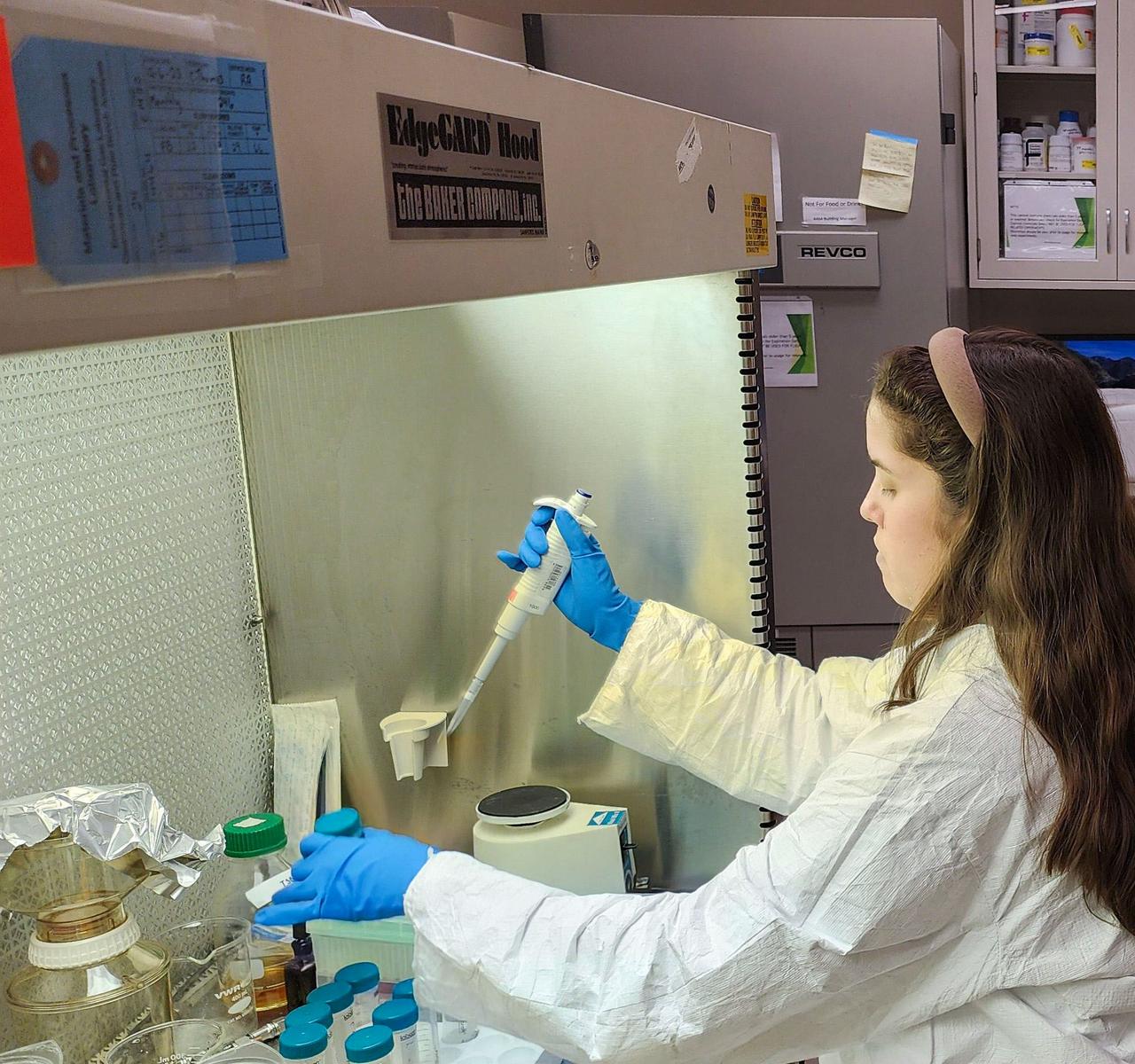  jsc2025e007250 (2/14/2025) --- Early plasmid research in the Biofilm lab at the NASA Marshall Space Flight Center (MSFC). 