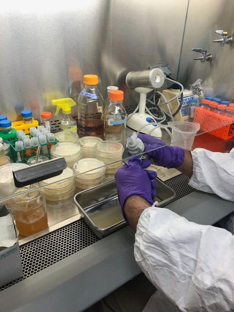 jsc2025e007251 (2/14/2025) --- Biofilm testing is shown in the early stages of the Polaris Bioremediation Science Experiment - Genetic Exchange in Microgravity for Biofilm Bioremediation (GEM-B2) project. 