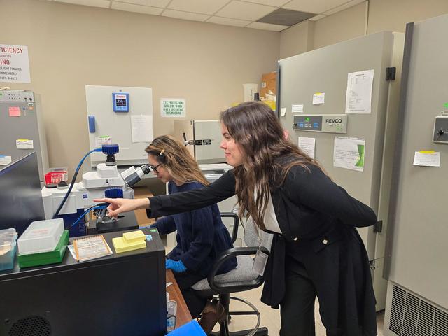 NASA image: jsc2025e007252