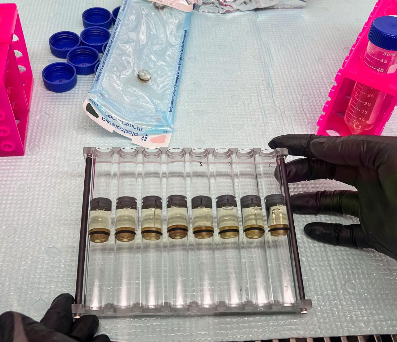 jsc2025e007256 (2/14/2025) --- Another view of the eight Fluid Processing Apparatus (FPAs) used in the Polaris Bioremediation Science Experiment - Genetic Exchange in Microgravity for Biofilm Bioremediation (GEM-B2) investigation. Image courtesy of BioServe. 
