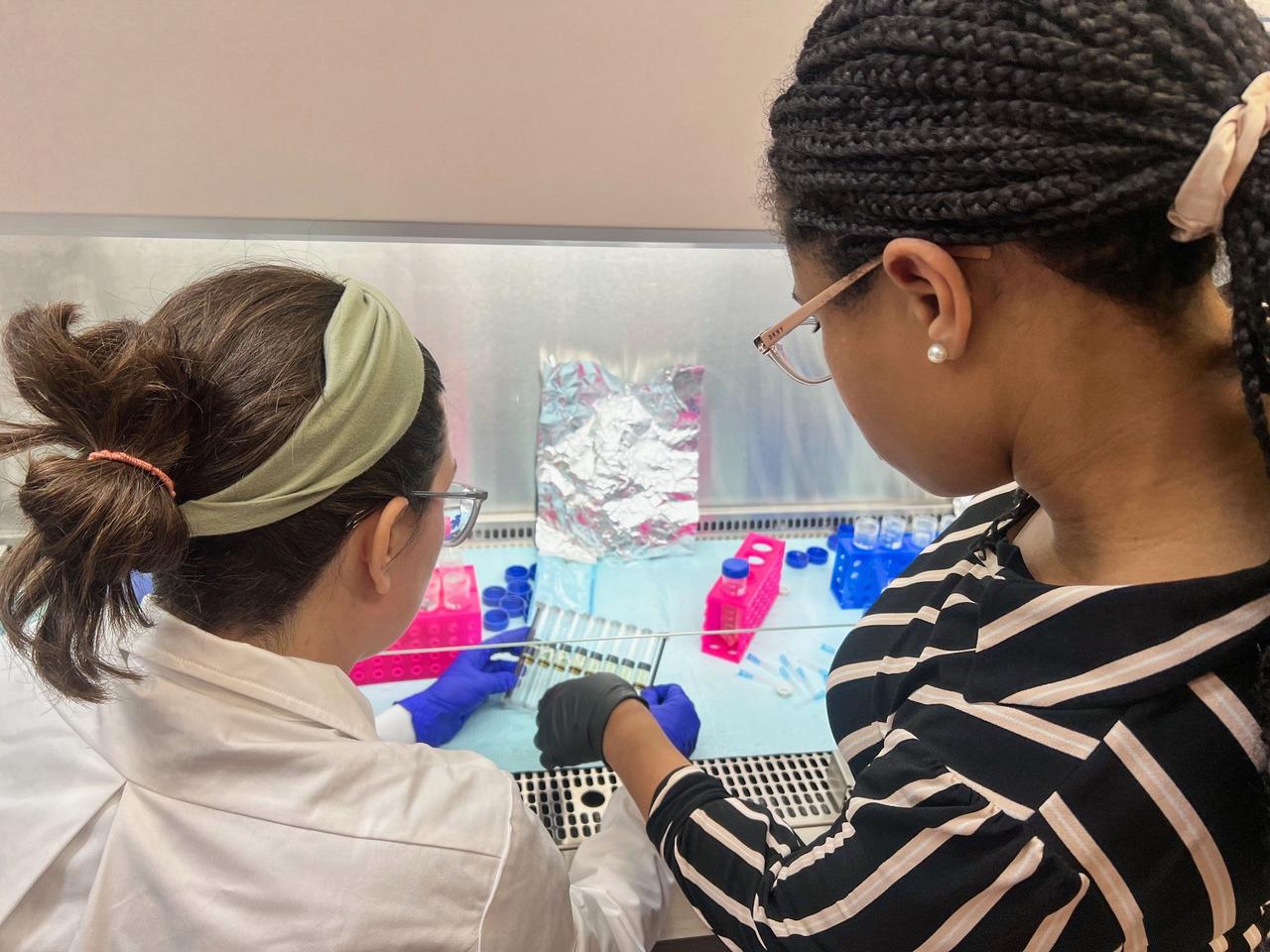 jsc2025e007257 (2/14/2025) --- A view of the Fluid Processing Apparatus (FPAs) used in the Polaris Bioremediation Science Experiment - Genetic Exchange in Microgravity for Biofilm Bioremediation (GEM-B2) investigation. Image courtesy of BioServe. 