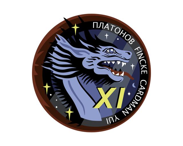 The Crew-11 mission patch