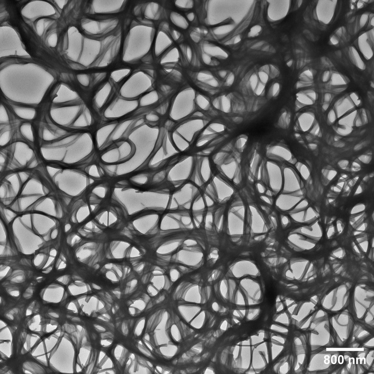 jsc2025e036191 (4/4/2025) --- An electron microscope image taken of a  Janus Base Nanomaterial (JBNm) made on the International Space Station. The scale bar on the bottom represents 1/62500 the width of a human hair, making the JBNm bundles thick and interspersed, lead to better outcomes for cells. Biomimetic Fabrication of Multi-Functional DNA-Inspired Nanomaterials via Controlled Self-assembly in Space (DNA Nano Therapeutics-Mission 2) continues prior research on in-space manufacturing of nanomaterials that mimic DNA and have applications for vaccines and regenerative medicine.  Image courtesy of University of Connecticut.