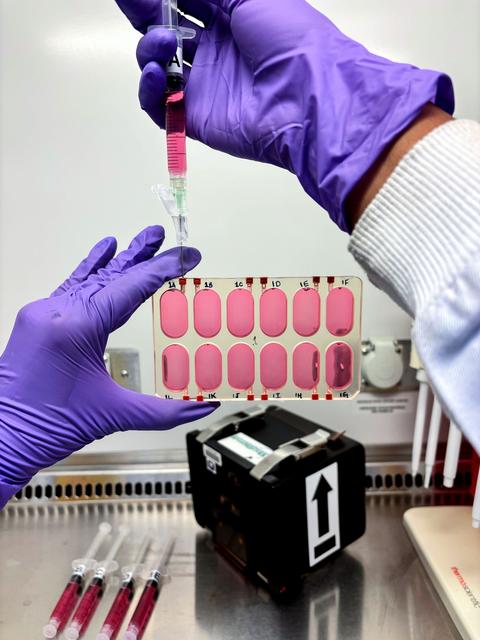 NASA image: Myogenesis - ISRO