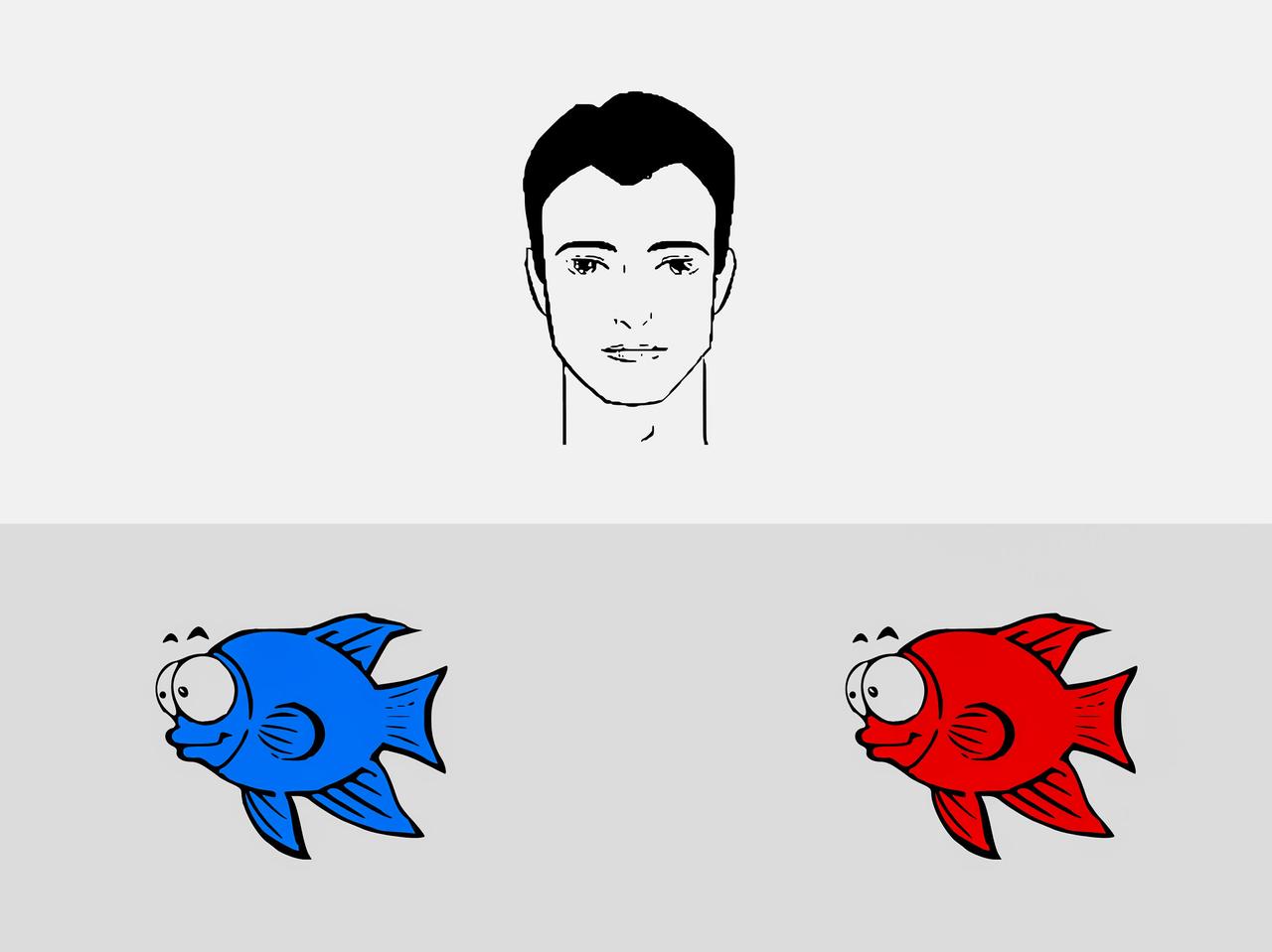 jsc2025e043583 (5/1/2025) --- This is an example of the test screen for the Space Acquired Equivalence Test (SAET). The test subject chooses which fish is related to the shown face and is part of The Association Learning and Connected Memory Processes in Microgravity (Acquired Equivalence Test). This study seeks to determine whether the orientation and the complexity of stimuli similarly influences performance in both normal and microgravity conditions. Image courtesy of the Acquired Equivalence Test team: Attila Nagy, Ádám Kiss, Balázs Bodosi and András Keleman.