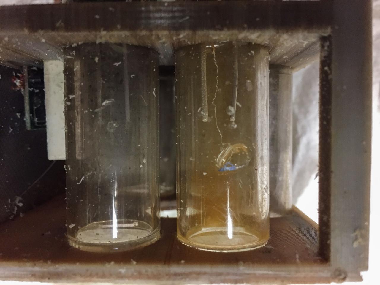 jsc2025e044836 (9/29/2016) --- Silver nitrate crystals grown in microgravity as part of NanoRacks-Crystallization Of Silver Nitrate in Microgravity On a Silver Cathode (NanoRacks-COSMOS). This investigation is designed to assess the 3D structure of silver nitrate crystals formed by electrolysis in microgravity. Results benefit the development of nanoscale electronics, which could be used in spacecraft and instruments on future space missions. Image courtesy of Dave Schlichting.