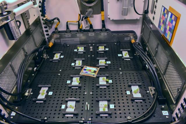 NASA image: jsc2025e047407