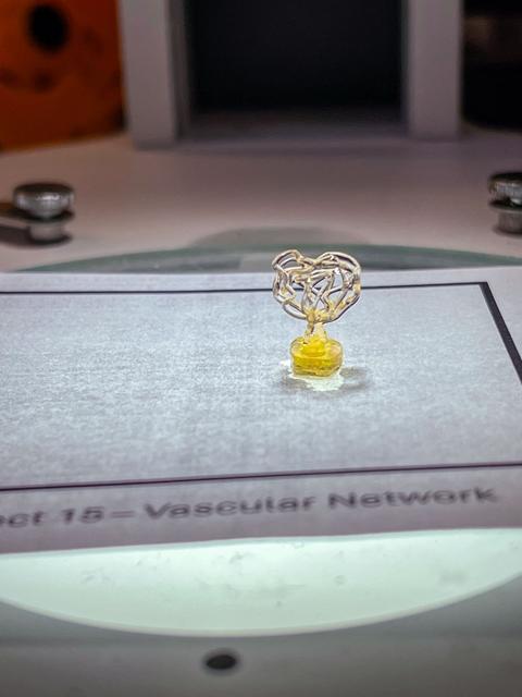 NASA image: jsc2025e064330