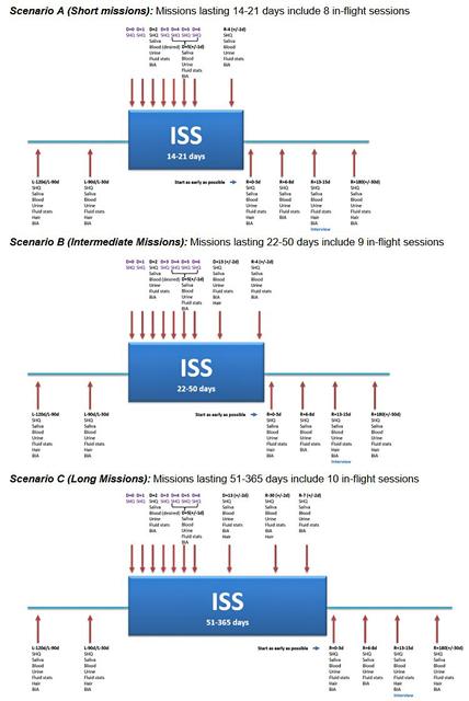 jsc2025e064336 (7/22/2025) --- Graphical research plan of operations for Headches on ISS. Image courtesy Mattjias Feuerecker