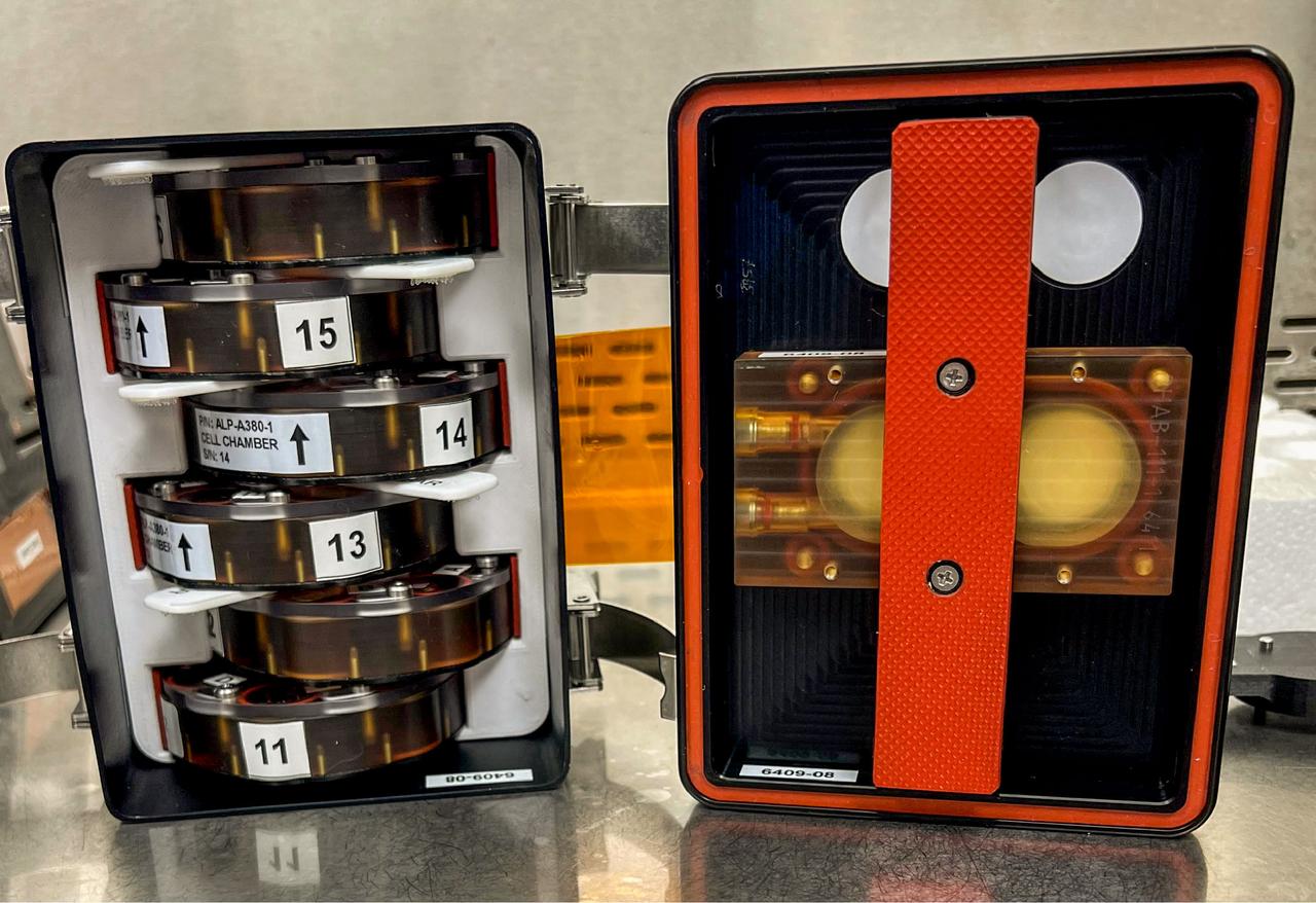 jsc2025e065387 (1/10/2025) --- The BioCell sample holder for the Microgravity Associated Bone Loss-B (MABL-B) investigation packed for launch to the International Space Station. The six-well BioCells are housed in a Plate Habitat (PHAB), which provides secondary containment and structural support during launch and return. MABL-B assesses how bone-forming stem cells respond to microgravity. Results could provide a better understanding of what causes bone loss during spaceflight and from normal aging and disease on Earth and support development of treatments. Credit: Mayo Clinic