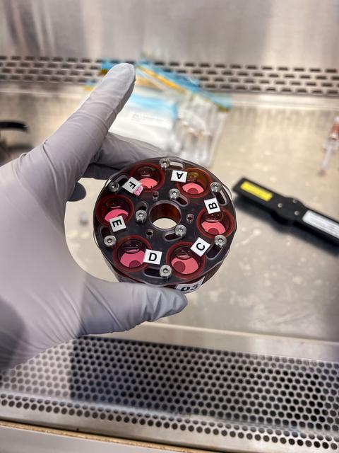 NASA image: PRO Imagery Submittal - Microgravity Associated Bone Loss-B (MABL-B)