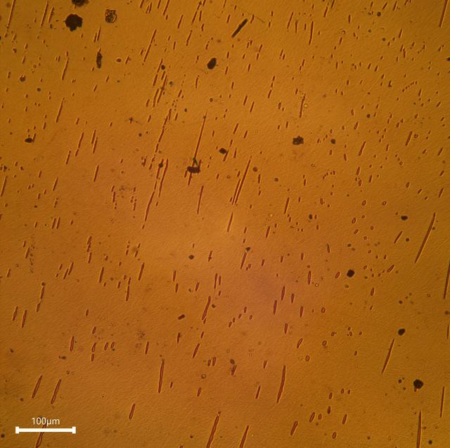 NASA image: SUBSA-InSPA-SSCug