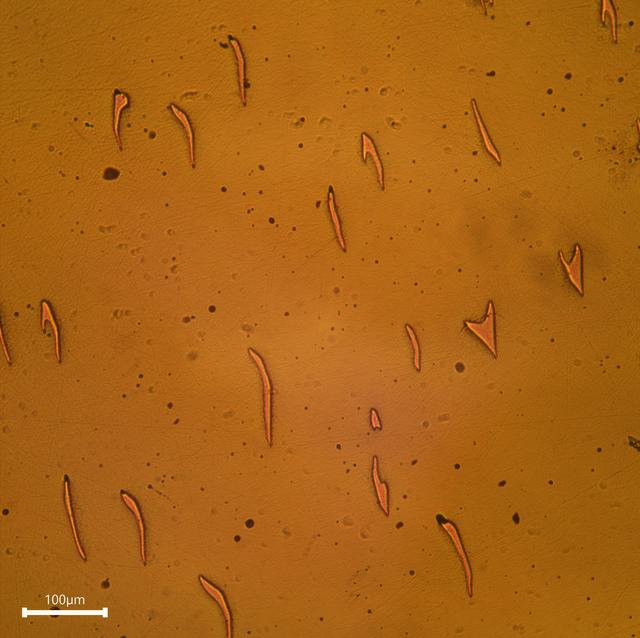 NASA image: SUBSA-InSPA-SSCug