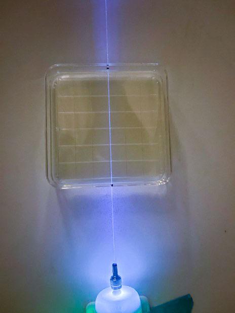 jsc2025e067423 (8/5/20250 --- Germicidal UV light is emitted by an optical fiber running through the center of an agar plate. Researchers are testing whether microgravity changes the ability of the light to prevent growth of microbial communities known as biofilms. Credit: Arizona State University