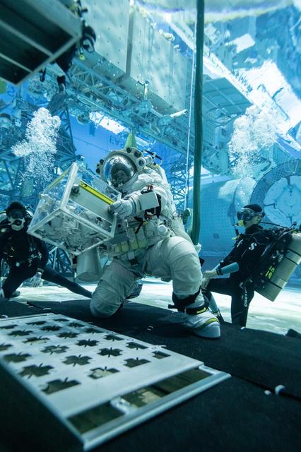 NASA image: Canadian Space Agency Astronaut Jenni Gibbons Practices Lunar Tasks