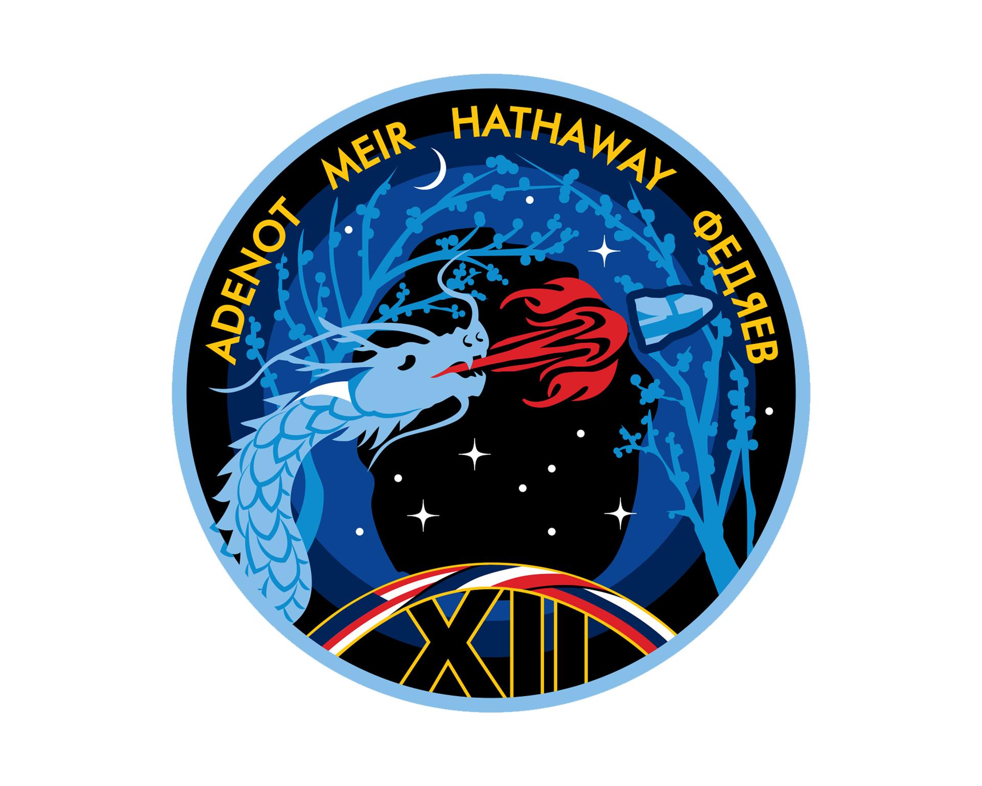 The official insignia of NASA's SpaceX Crew-12 mission to the International Space Station.