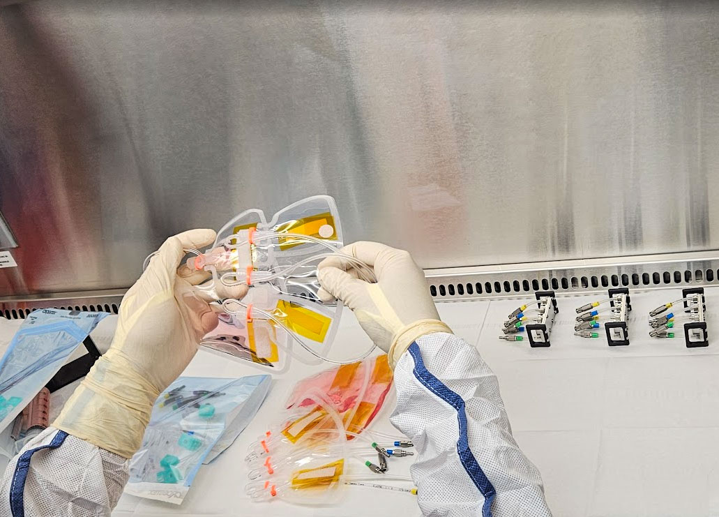 Image shows a person wearing white rubber gloves examining culture medium bags.