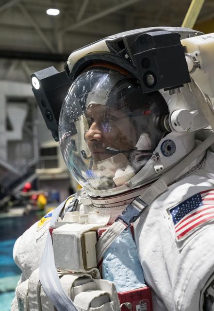 NASA image: NASA astronaut Anil Menon participates in a spacewalk training session at Johnson Space Center