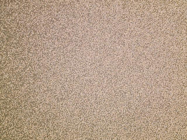 NASA image: jsc2026e014323