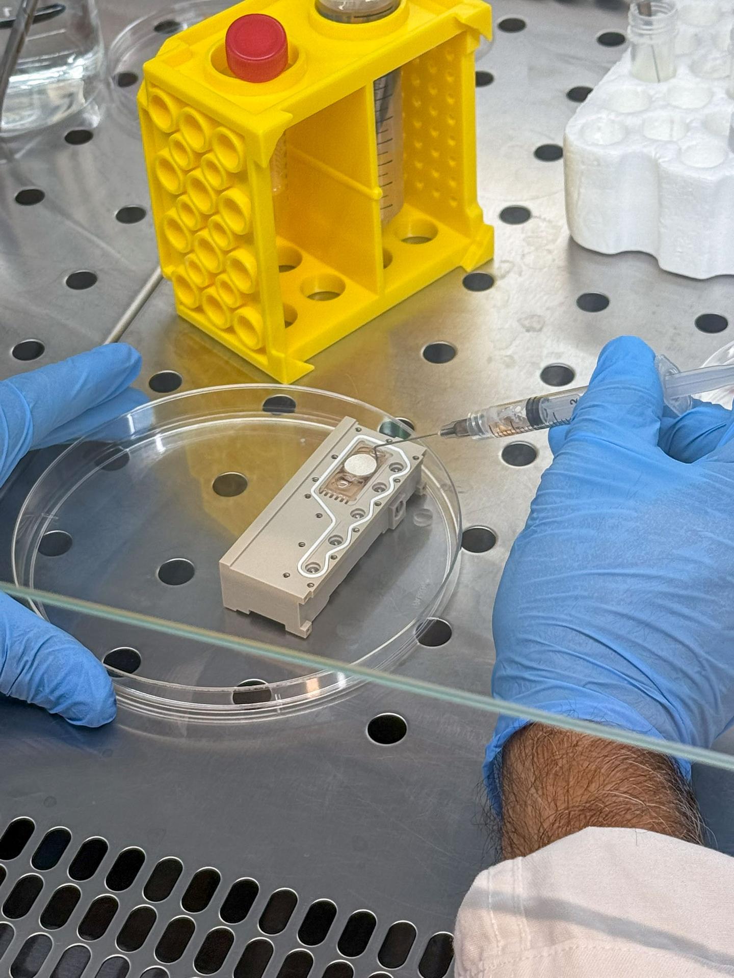 jsc2026e017236 (March 27, 2026) --- A laboratory technician prepares the bioreactors for the specimen validity test by loading scaffold structures and injecting culture medium as part of the Green Bone investigation. The process is carried out under sterile conditions. This research studies how human mesenchymal stem cells (hMSCs) grow on a biomimetic bone scaffold, b Bone, made from rattan wood in microgravity. Credit: DIMES Laboratory.