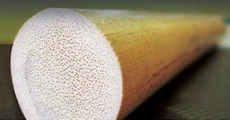 NASA image: jsc2026e017239