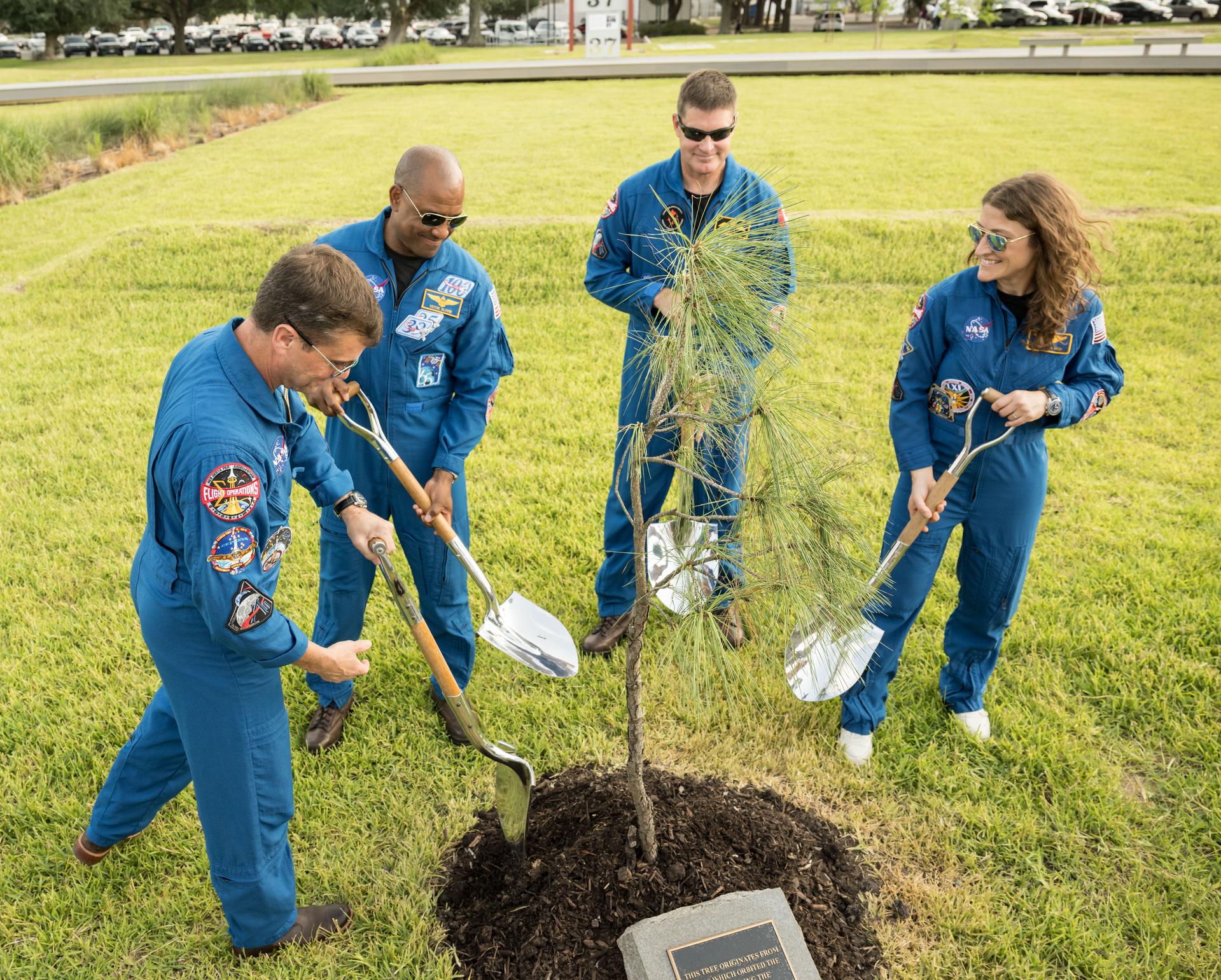 Tripulação da Artemis II homenageia árvore lunar da Apollo 14