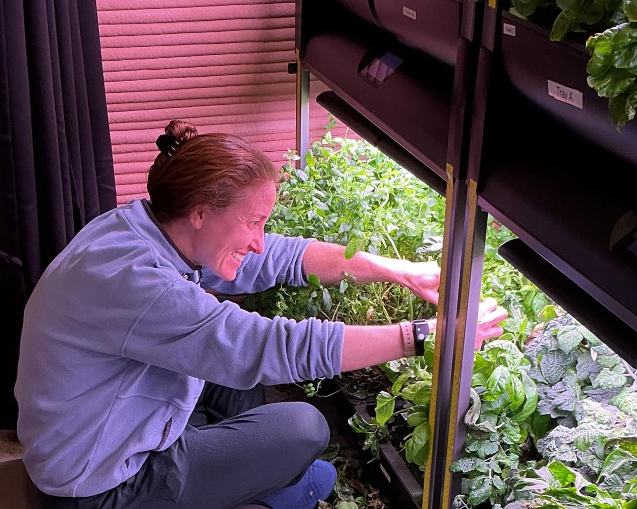 jsc2026e403169 (Feb. 22, 2026) -- Ellen Ellis, Crew Health and Performance Exploration Analog (CHAPEA) mission 2 medical officer, trims plants to promote growth in the habitat’s hydroponic crop system. Credit: NASA