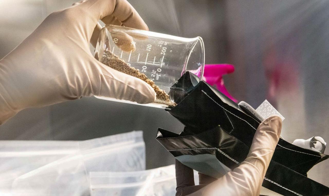 jsc2026e404781 (July 29, 2026) --- Preflight image of researcher at Kennedy Space Center filling a plant pillow as part of ISSGardens (VEG-03 MNO), an investigation that allows astronauts to grow plants in different locations around the International Space Station. Credit: NASA KSC.