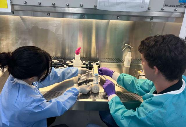 jsc2026e404783 (July 29, 2026) --- Preflight image of researchers sealing plant pillows as part of ISSGardens (VEG-03 MNO), an investigation that allows astronauts to grow plants in different locations around the International Space Station. Credit: NASA KSC.