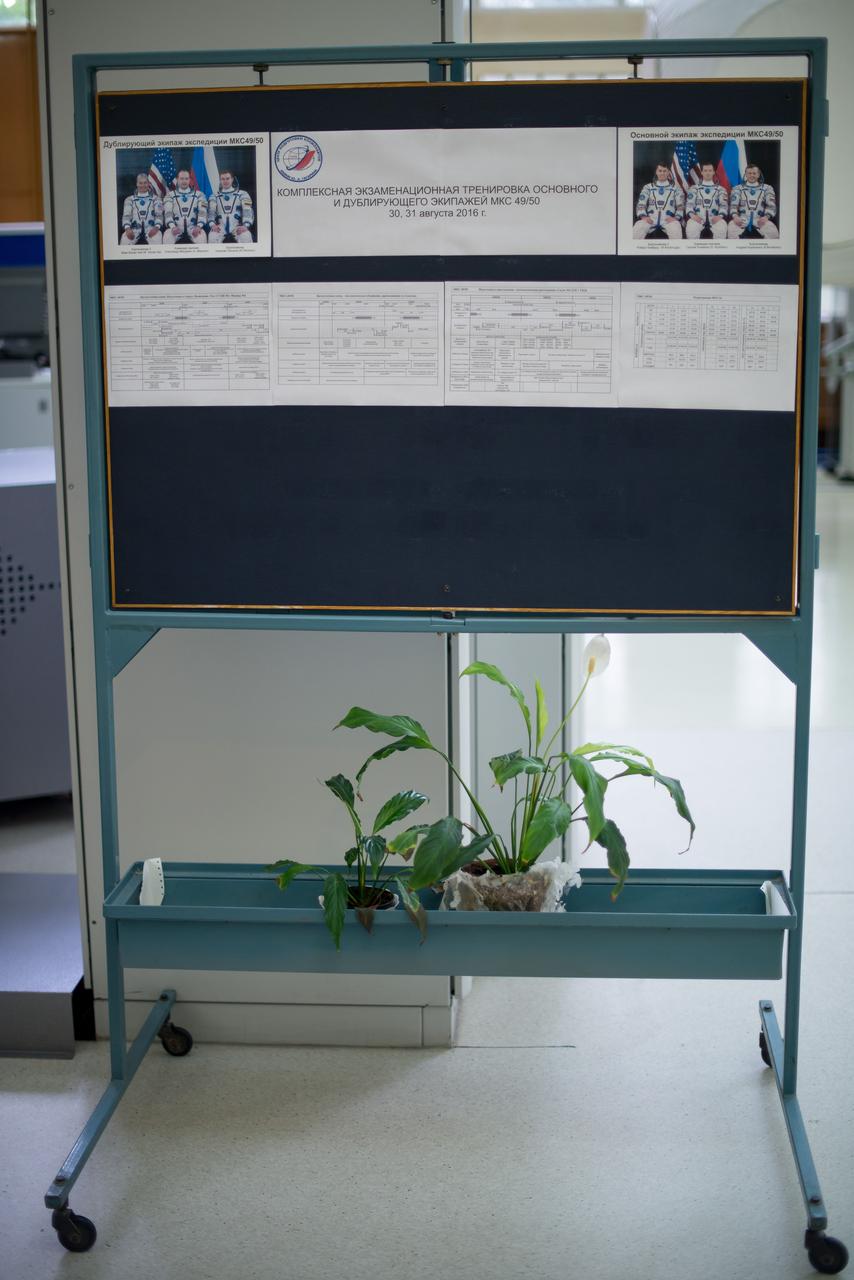 Expedition 49 NASA astronaut Shane Kimbrough, Russian cosmonauts Sergei Ryzhikov and Andrey Borisenko of Roscosmos are seen in a photograph outside the Soyuz simulator during their Soyuz qualification exams, Wednesday, Aug. 31, 2016, at the Gagarin Cosmonaut Training Center (GCTC) in Star City, Russia. Photo Credit: (NASA/Bill Ingalls)