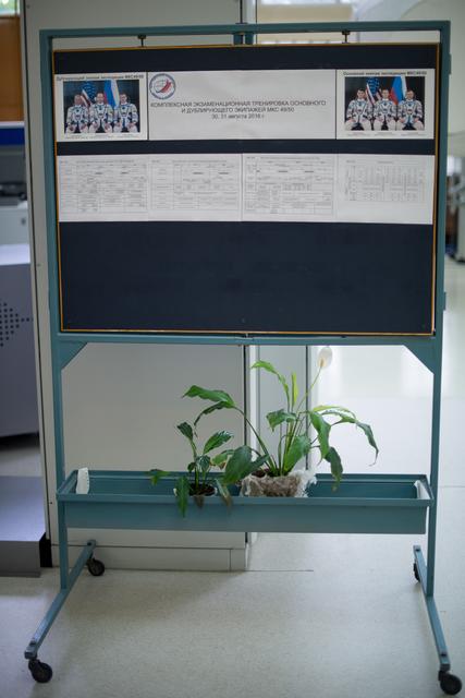 NASA image: Expedition 49 Qualification Exams