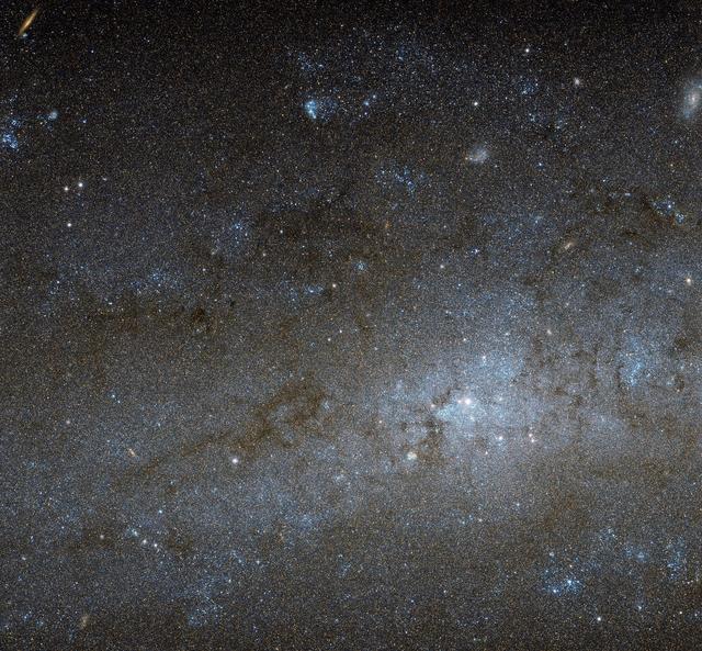 This Hubble image shows the central region of a spiral galaxy known as NGC 247. NGC 247 is a relatively small spiral galaxy in the southern constellation of Cetus (The Whale). Lying at a distance of around 11 million light-years from us, it forms part of the Sculptor Group, a loose collection of galaxies that also contains the more famous NGC 253 (otherwise known as the Sculptor Galaxy). NGC 247’s nucleus is visible here as a bright, whitish patch, surrounded by a mixture of stars, gas and dust. The dust forms dark patches and filaments that are silhouetted against the background of stars, while the gas has formed into bright knots known as H II regions, mostly scattered throughout the galaxy’s arms and outer areas. This galaxy displays one particularly unusual and mysterious feature — it is not visible in this image, but can be seen clearly in wider views of the galaxy, such as this picture from ESO’s MPG/ESO 2.2-metre telescope. The northern part of NGC 247’s disc hosts an apparent void, a gap in the usual swarm of stars and H II regions that spans almost a third of the galaxy’s total length. There are stars within this void, but they are quite different from those around it. They are significantly older, and as a result much fainter and redder. This indicates that the star formation taking place across most of the galaxy’s disc has somehow been arrested in the void region, and has not taken place for around one billion years. Although astronomers are still unsure how the void formed, recent studies suggest it might have been caused by gravitational interactions with part of another galaxy.