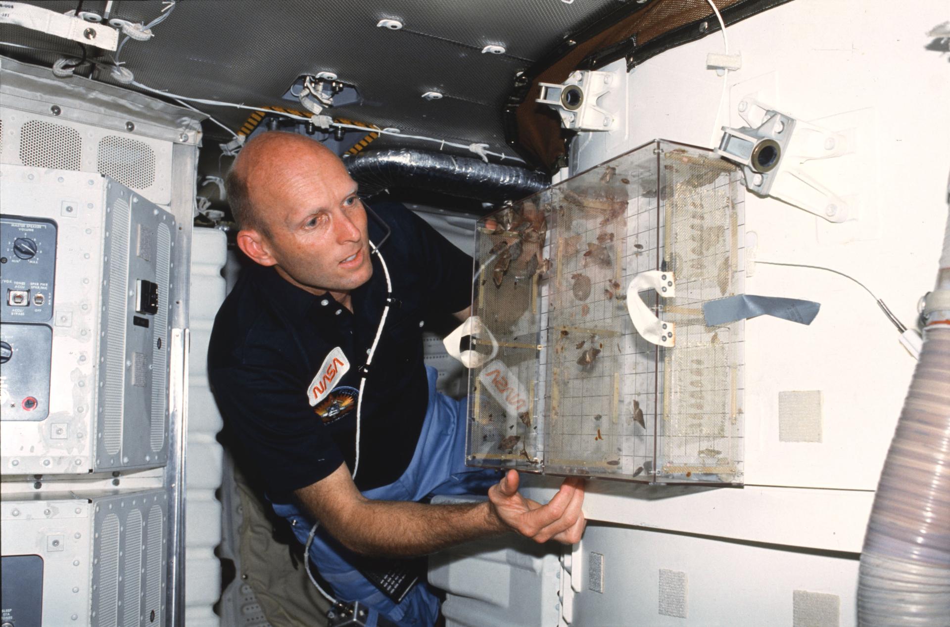 Gordon Fullerton observes an experiment mounted on the interior of Space Shuttle Columbia during STS-3