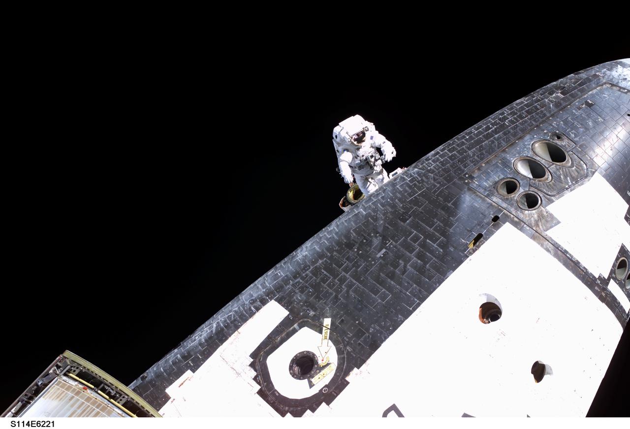 S114-E-6221 (3 August 2005) --- Astronaut Stephen K. Robinson, STS-114 mission specialist, on the end of the station’s Canadarm2 (out of frame), slowly and cautiously makes his way to the underside of Space Shuttle Discovery to remove gap fillers from between the orbiter’s heat-shielding tiles during the mission’s third session of extravehicular activity (EVA).