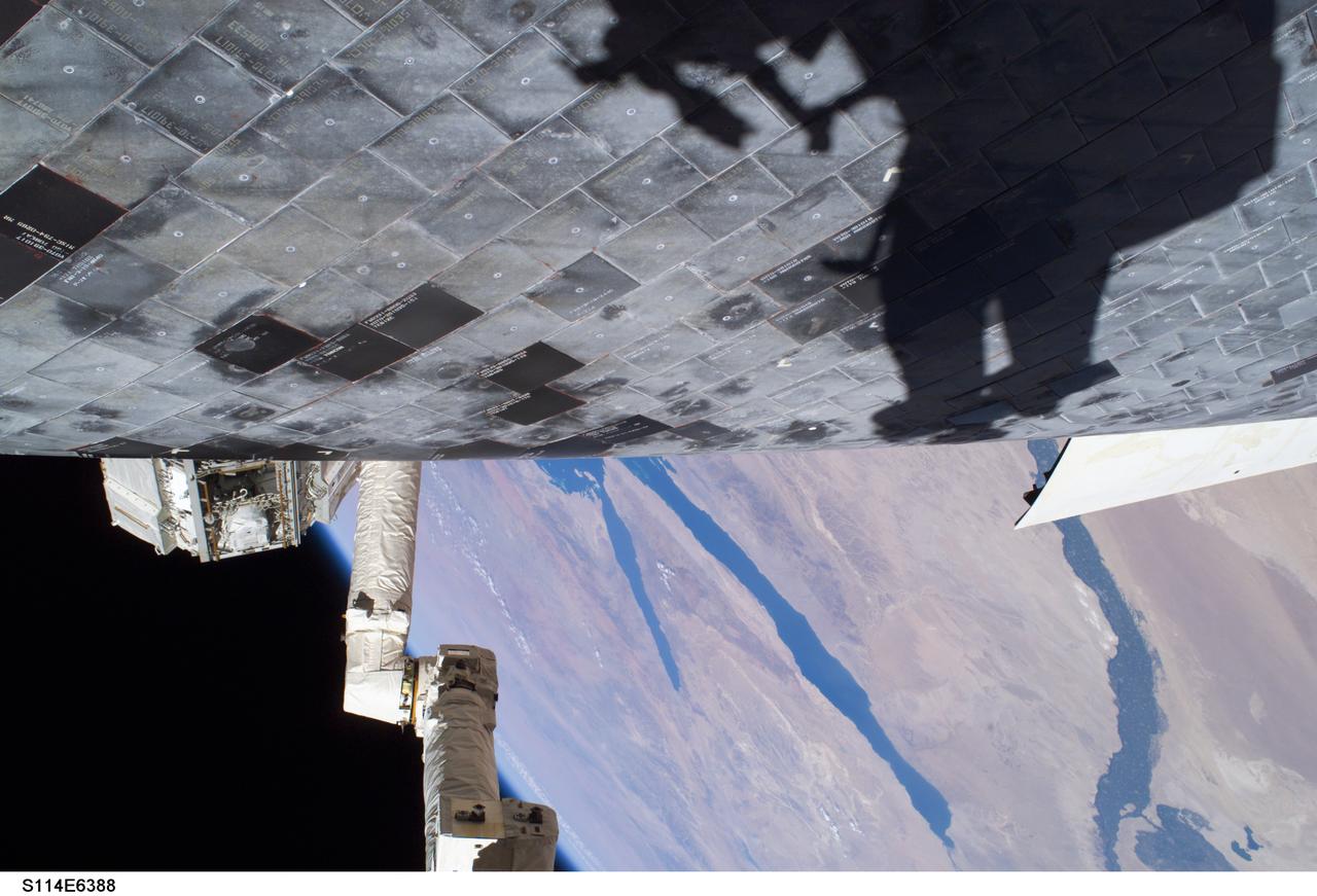 S114-E-6388 (3 August 2005) --- A close-up view of a portion of the thermal protection tiles on Space Shuttle Discovery&#0146;s underside is featured in this image photographed by astronaut Stephen K. Robinson, STS-114 mission specialist, during the mission&#0146;s third session of extravehicular activities (EVA). Robinson&#0146;s shadow is visible on the thermal protection tiles and a portion of the Canadian-built remote manipulator system (RMS) robotic arm and the Nile River is visible at bottom.