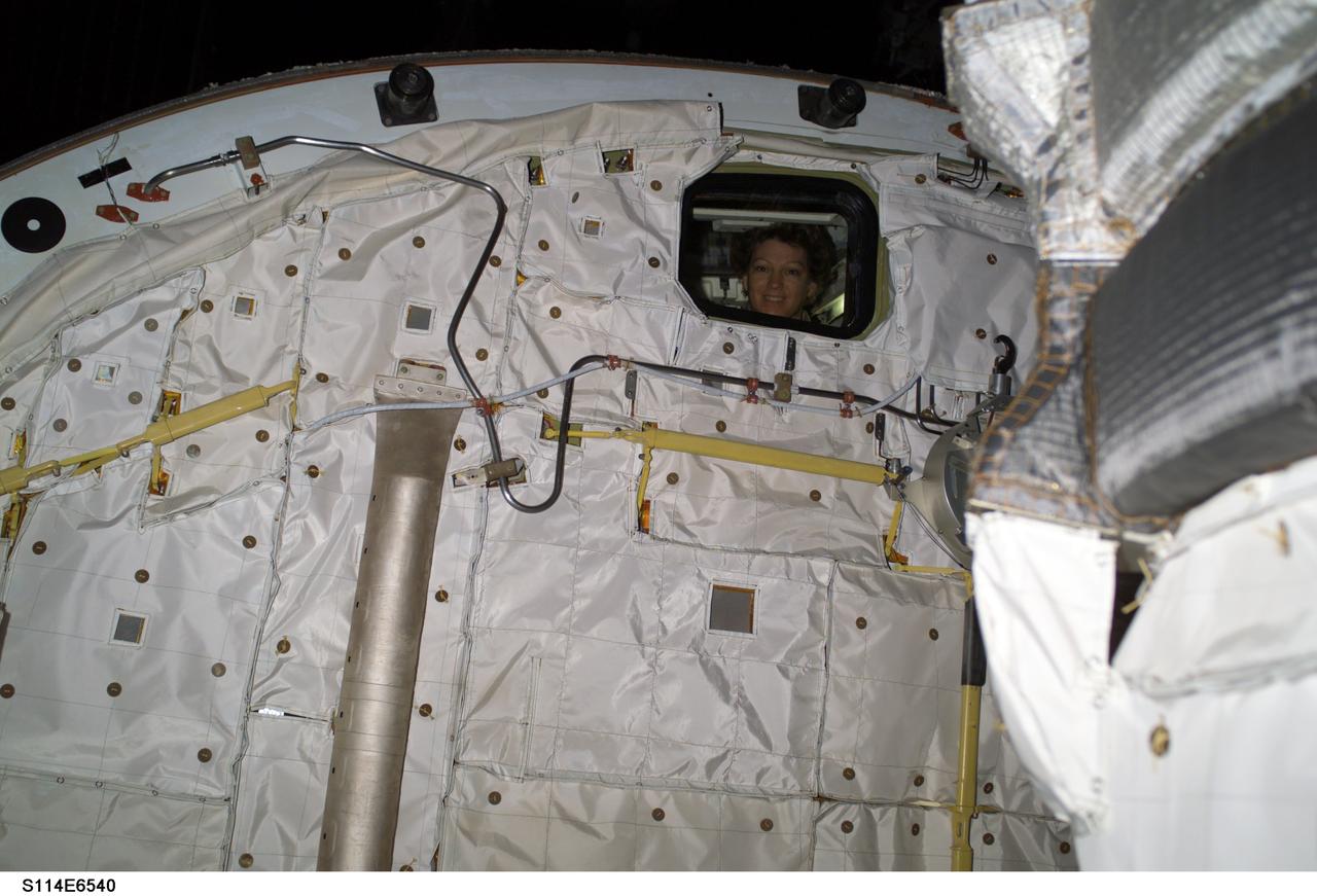 S114-E-6540 (3 August 2005) --- Astronaut Eileen M. Collins, STS-114 commander, watches her crewmates Stephen K. Robinson (out of frame) and Soichi Noguchi (out of frame) representing Japan Aerospace Exploration Agency (JAXA), during today;s session of extravehicular activity (EVA) from an aft cabin cargo interface window on the Space Shuttle Discovery.