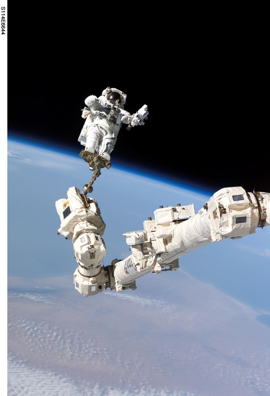 S114-E-6644 (3 August 2005) --- Astronaut Stephen K. Robinson, STS-114 mission specialist, anchored to a foot restraint on the International Space Station;s Canadarm2, participates in the mission;s third session of extravehicular activity (EVA). The blackness of space and Earth;s horizon form the backdrop for the image.