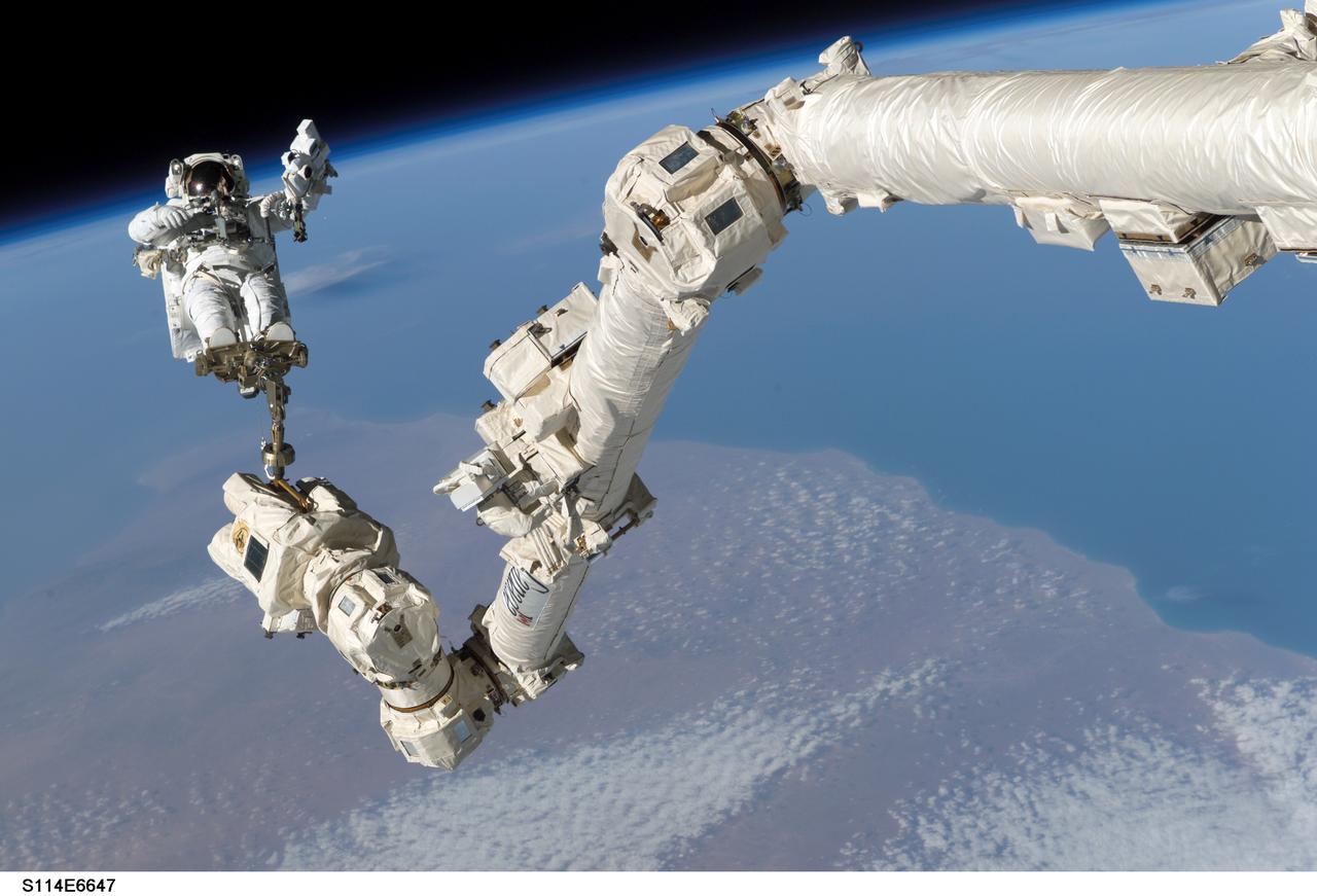 S114-E-6647 (3 August 2005) --- Astronaut Stephen K. Robinson, STS-114 mission specialist, anchored to a foot restraint on the International Space Station;s Canadarm2, participates in the mission;s third session of extravehicular activity (EVA). The blackness of space and Earth;s horizon form the backdrop for the image.