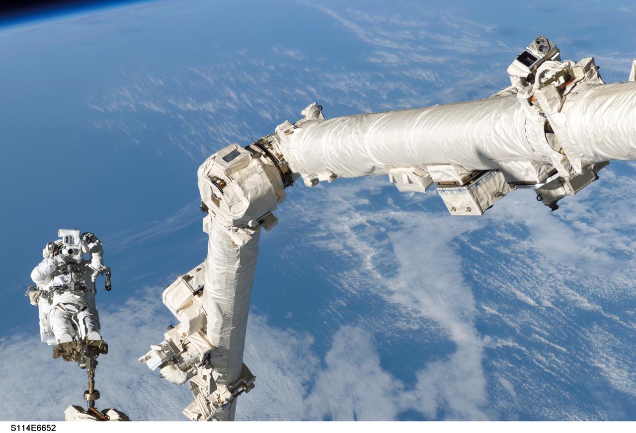 S114-E-6652 (3 August 2005) --- Astronaut Stephen K. Robinson, STS-114 mission specialist, anchored to a foot restraint on the International Space Station;s Canadarm2, participates in the mission;s third session of extravehicular activity (EVA). A blue and white Earth forms the backdrop for the image.